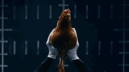 440_248gif 动态图 动图