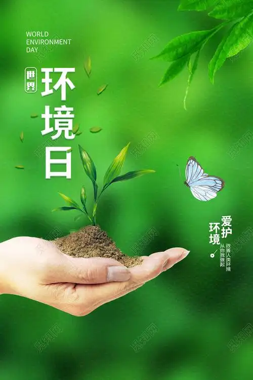 简约大气绿色保护环境环保世界环境日爱护环境宣传海报psd