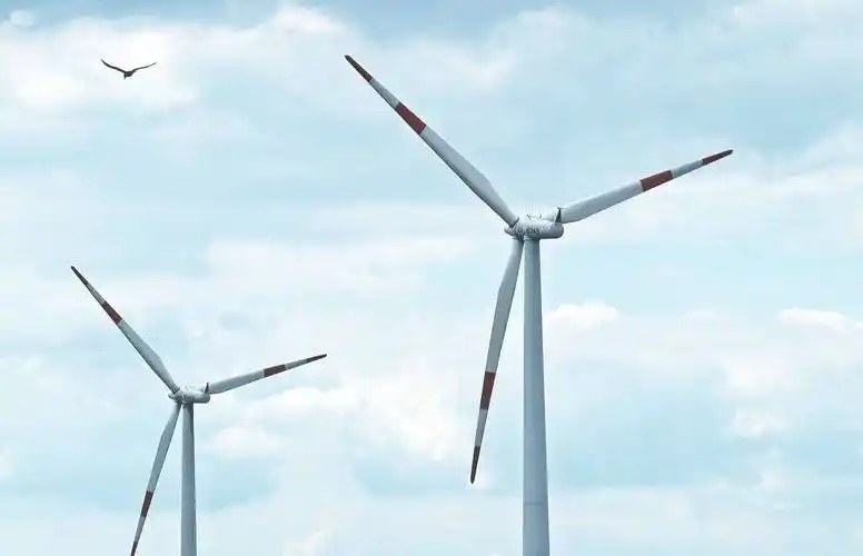 意外真相,风电防鸟装置破解鸟撞难题 | 真驱鸟科技_风力机_事故_功能