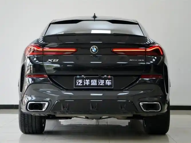 宝马 宝马x6 2020款 xdrive30i m运动套装图片