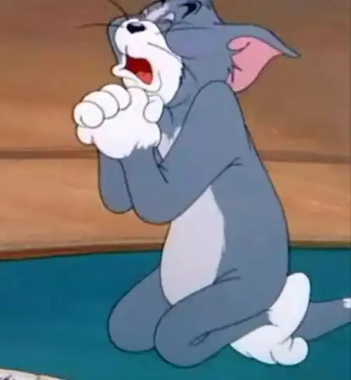 汤姆下跪求饶表情包—猫和老鼠-皮蛋表情包