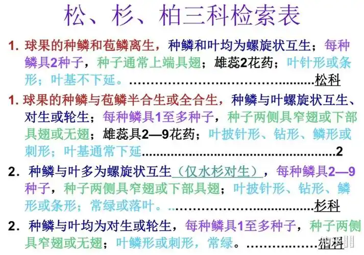 松科,杉科,柏科有哪些主要不同点? - 知乎