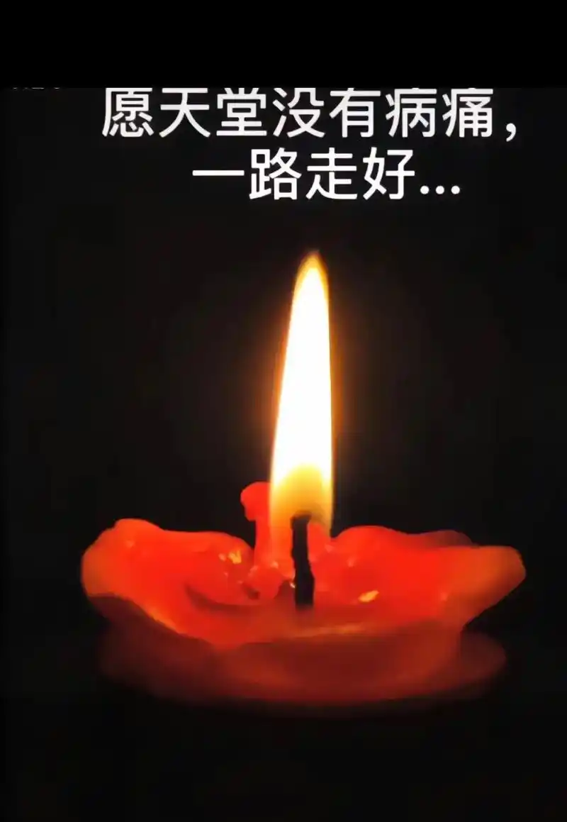 节哀顺变[感谢][感谢][感谢][感谢][感谢][感谢]