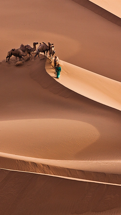 沙漠黄沙骆驼h5背景