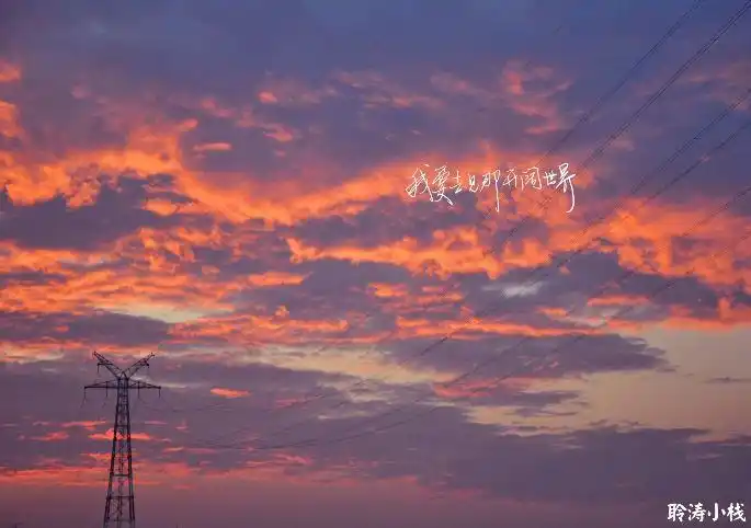 自制明信片欢迎程度调查