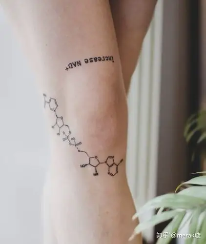 纹身理科学霸专属分子式方程式纹身