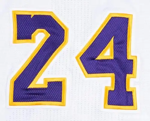 他的24号是用紫色网眼布缝制的