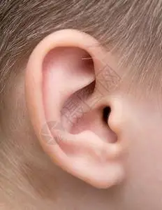 新生儿耳朵背景