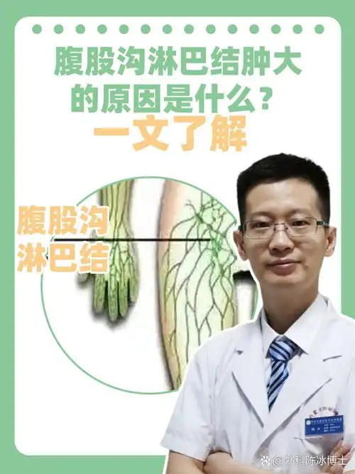 腹股沟是连接腹部和大腿的重要部位,这里的淋巴结在人体的免疫系统中