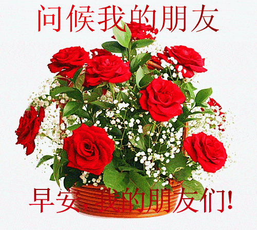 怎么跟女生说早上好显得有幽默感 微信早上好图片