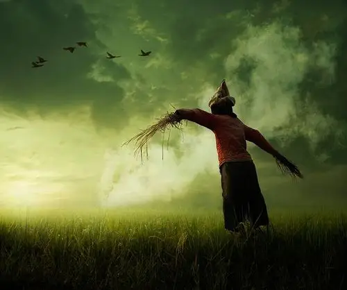 这样孤独伫立着已记不清有多少年了,他们都说,那叫「稻草人」