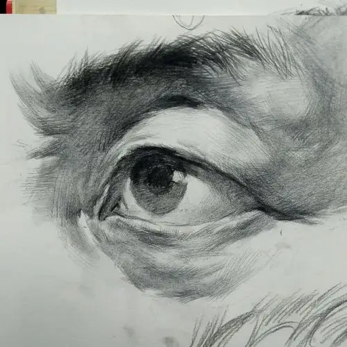 素描人像眼睛 供参考