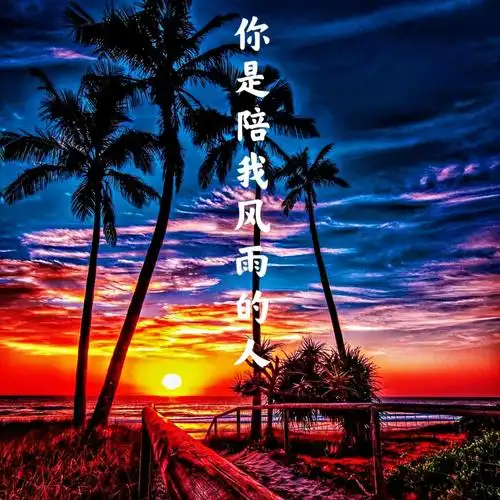 你是陪我风雨的人_墨晨_高音质在线试听_你是陪我风雨的人歌词|歌曲