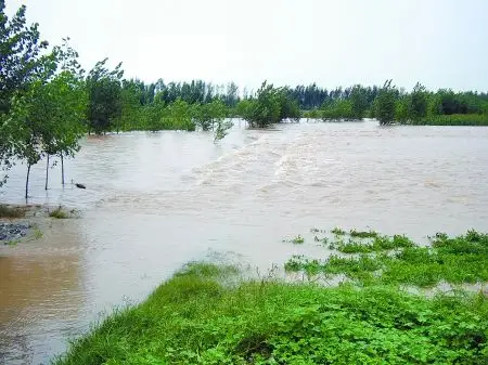 新乡鹤壁部分县市遭暴雨袭击 59人被困获救