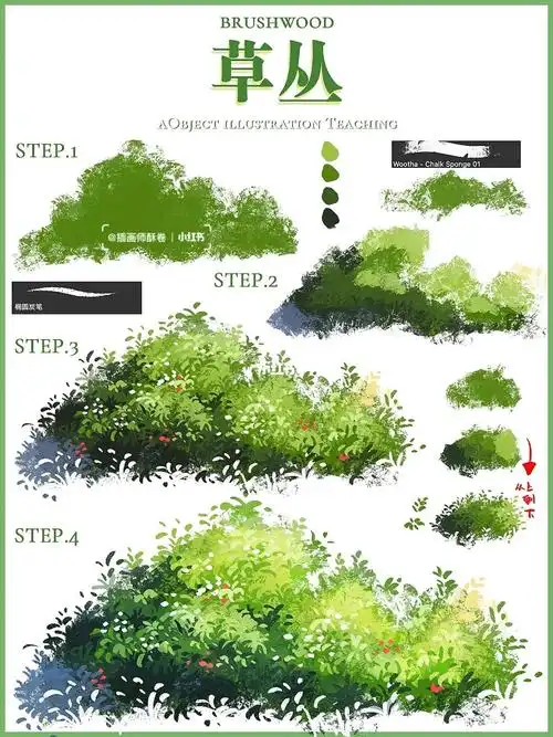插画丨灌木草丛植物画法详细步骤图