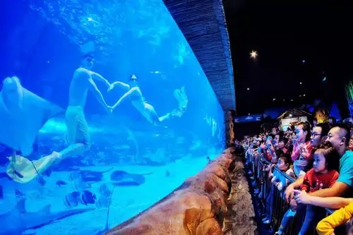 2020西安华夏文旅海洋公园秋季游玩攻略(门票 地址 开放时间 购票网址