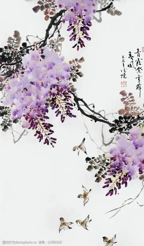 关键词:邱德镜 紫藤 鸟 麻雀 花鸟画 中国画 水墨画 国画作品 绘画