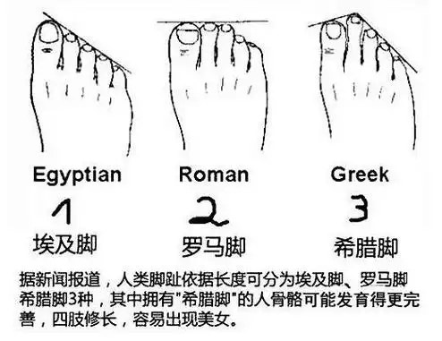 脚趾形状与命运图片,从你的脚趾就能看出一辈子是富贵命 - 玉三网