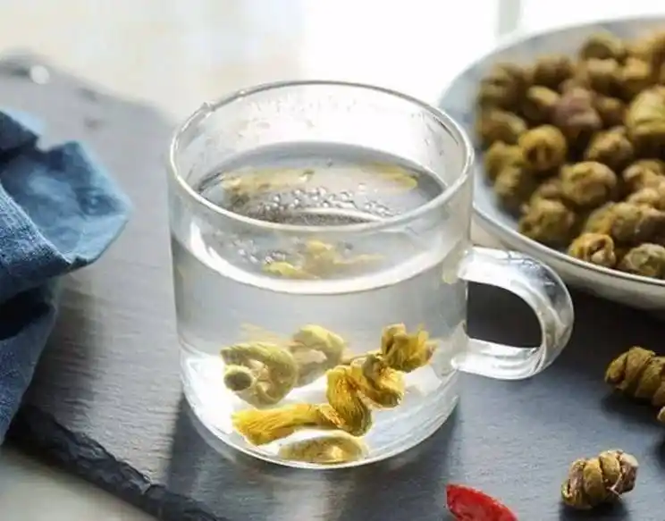 春季吃铁皮石斛竟然有这6大好处你居然还不知道