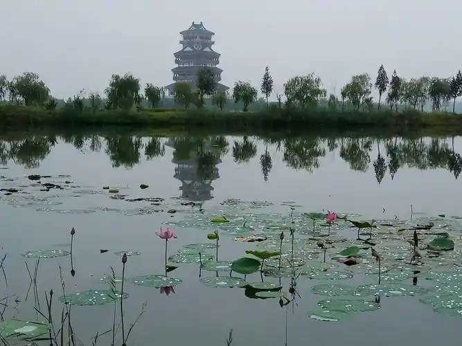 成武县热门游记,成武县自助游游记,成武县旅游热门游记 - 马蜂窝