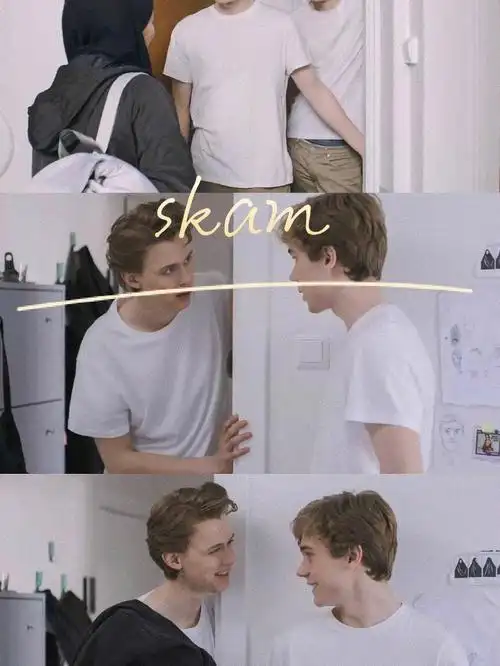 好剧分享skam挪威版
