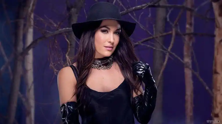 wwe女摔暗黑写真《幸存者25周年》(22)