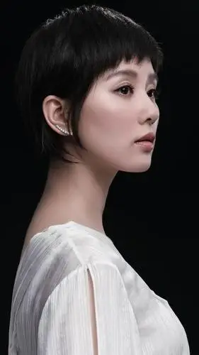 刘诗诗精美壁纸:短发照样不失美感,还有股英气!