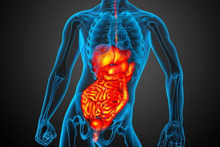 脾为什么会肿大脾脏异常肿大的原因