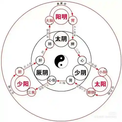 从十二经络经气循行开始:第一部分:十二经脉与经筋