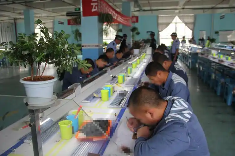 各显身手 展示劳动改造成果 ――云南省昭通监狱组织服刑人员开展劳动