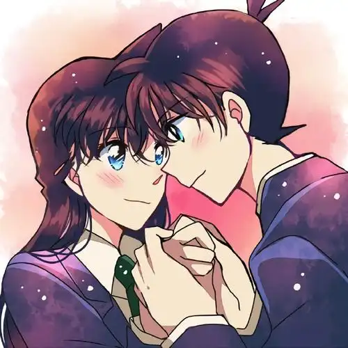 名侦探柯南##平和##新兰##快青##动漫