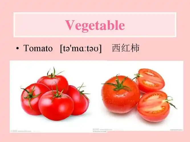 让你更好地学习英语单词 vegetable   tomato [t mɑ t    西红柿