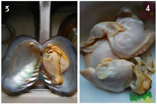 4,将肉取出,清洗两遍待用3,将开口后的河蚌掰开,去掉黑色的砂囊2,锅中