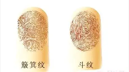 手指上的斗和簸箕代表什么?