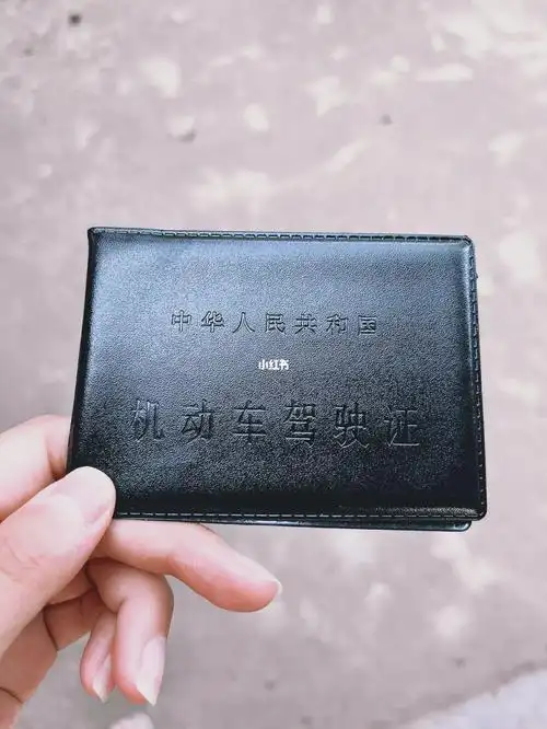 马路杀手通行证