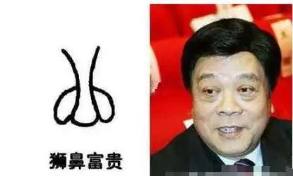 伏犀贯顶(伏犀贯顶之相图片)