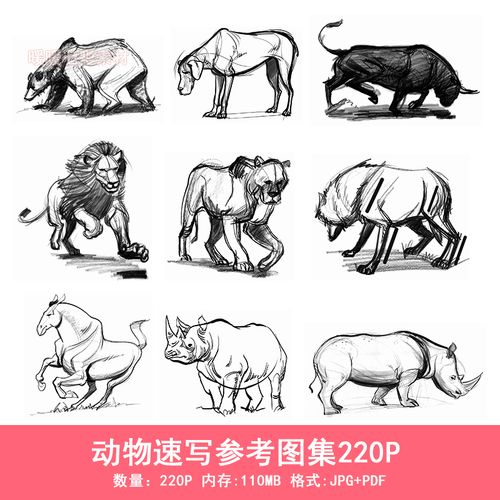 动物速写图集220p 动态结构姿势pose 临摹线稿 美术参考素材a038