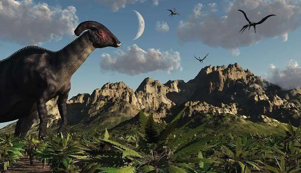 白垩纪时期的地理环境