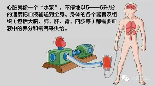 心衰后心脏泵血功能受损,有以下表现