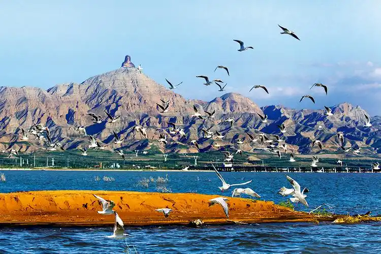 关于乌海网站建设的信息