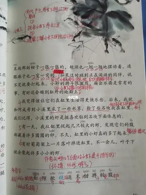 三年级语文下15《小虾》学习笔记