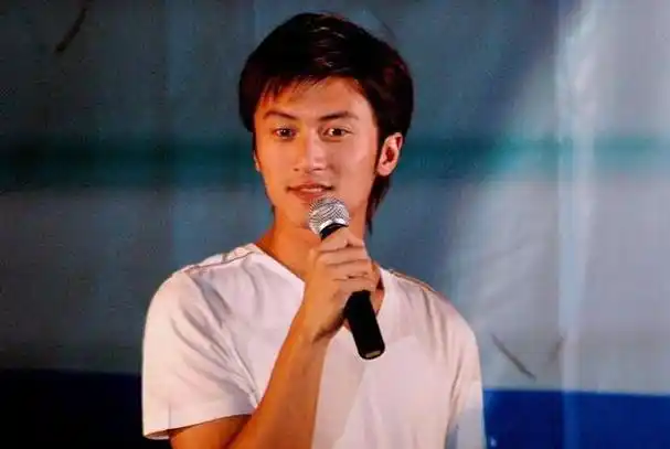 是因为她那婉转动人的歌声和清丽脱俗的气质,这些都让年轻的谢霆锋