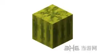 我的世界西瓜截图1