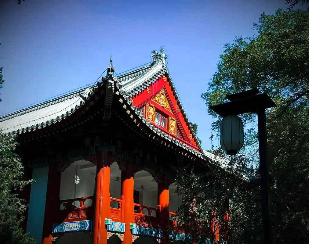 图文伙伴计划 #手机摄影 #路过的风景 #北京大学#摄影 - 抖音