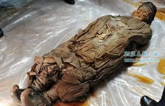 长沙马王堆汉墓女尸辛追夫人刚出土时图片