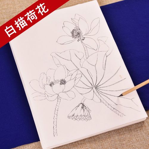 臻言工笔画白描底稿手绘荷花画谱云母熟宣线描初学者入门美术基础教程