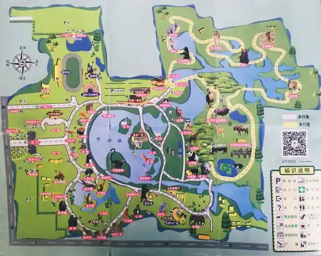 上海野生动物园超详细攻略(附地图及各项演出时间)_动物园_演出