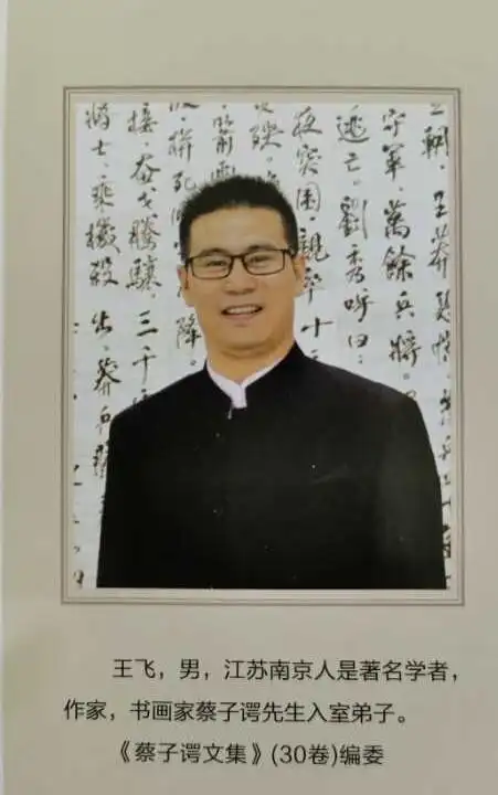 王飞书法作品欣赏