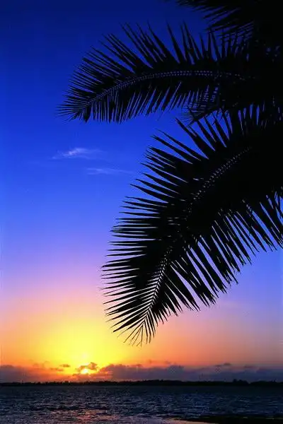 沙滩海滩129ey.jpg (宽400像素×高600像素)