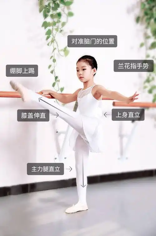 少儿舞蹈基本功-把杆踢前腿动作要点【趣练舞纠错课堂】
